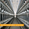 Tianrui Design Automatic H Frame Layer Poultry Farm Equipment